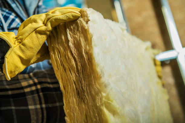 Best Cellulose Insulation in Carencro, LA