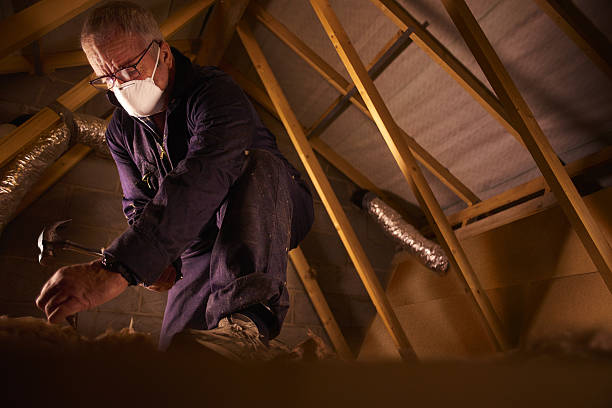 Types of Insulation We Offer in Carencro, LA